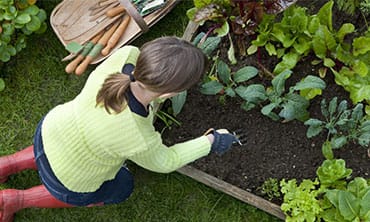 Turning an Ugly Lawn into the Best Grass on the Block