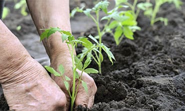 Natural Stone vs. Interlocking  Concrete Walls